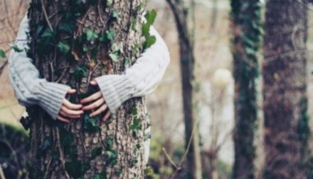 Ecoterapia - abbracciare gli alberi
