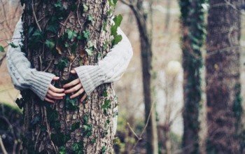Ecoterapia - abbracciare gli alberi