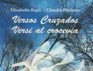 Copertina del libro di poesie Versi al crocevia/Versos Cruzados - un viaggio poetico comune
