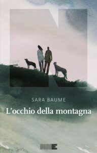 L'occhio della montagna | Copertina del libro di Sara Baume - NN Editore