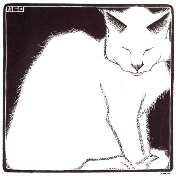 Escher - gatto bianco