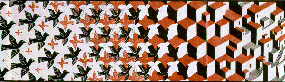 Escher - Metamorfosi II